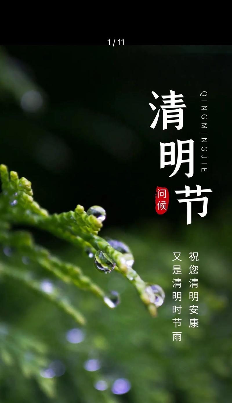 说说自己的清明节怎么过（《清辉如许，自赏春日芳华》）