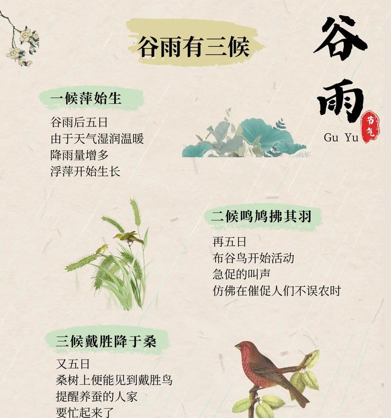 谷雨节气有哪些传统习俗？（《雨生百谷）