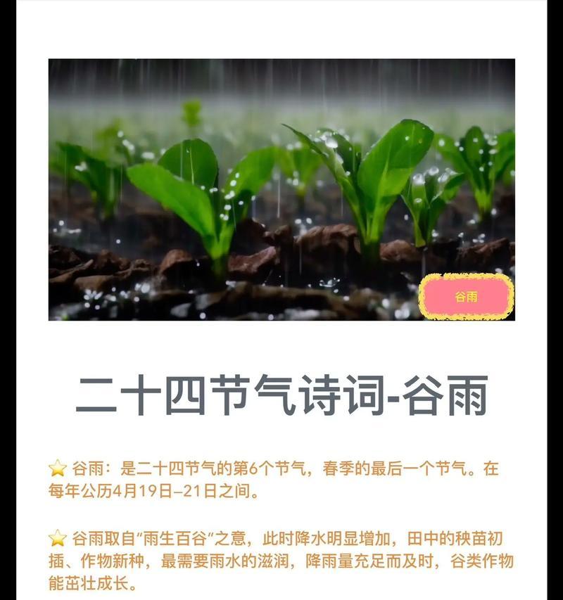 谷雨诗词摘抄赏析句子好句有哪些？（谷雨诗韵：润物细无声的古风雅致）