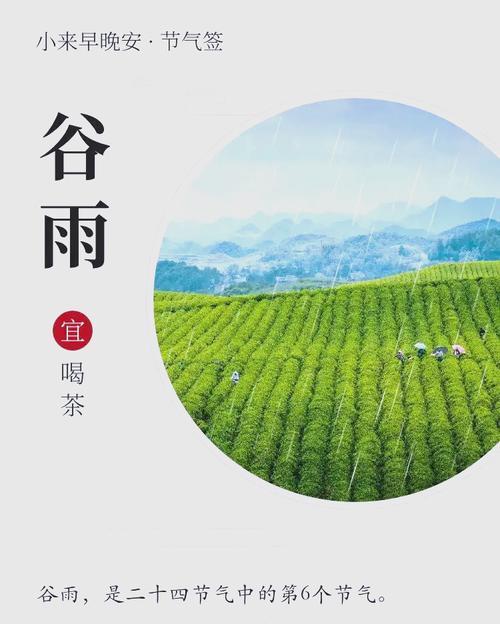 谷雨擂茶的功效与作用（谷雨擂茶香：四月芳菲醉古韵）