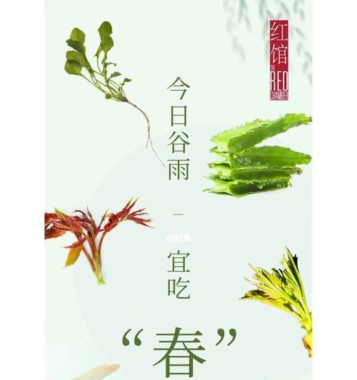 有关谷雨的饮食及养生（《谷雨时分，食风雅颂》）