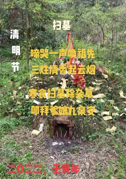 有关清明节挂山摘抄的句子怎么写（《清明祭：山间翠绿忆古风》）