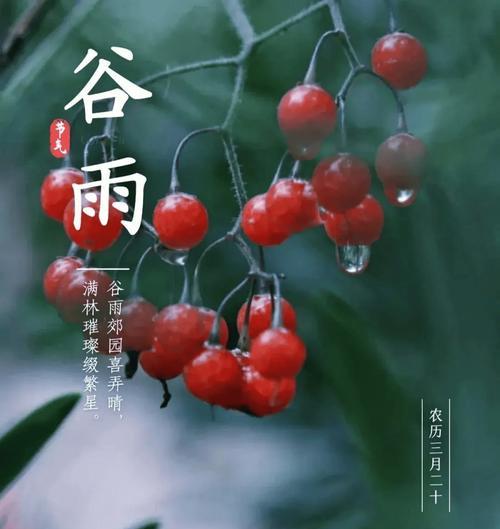 描写谷雨的句子怎么写?（谷雨之韵：古风细绘雨中芳华）