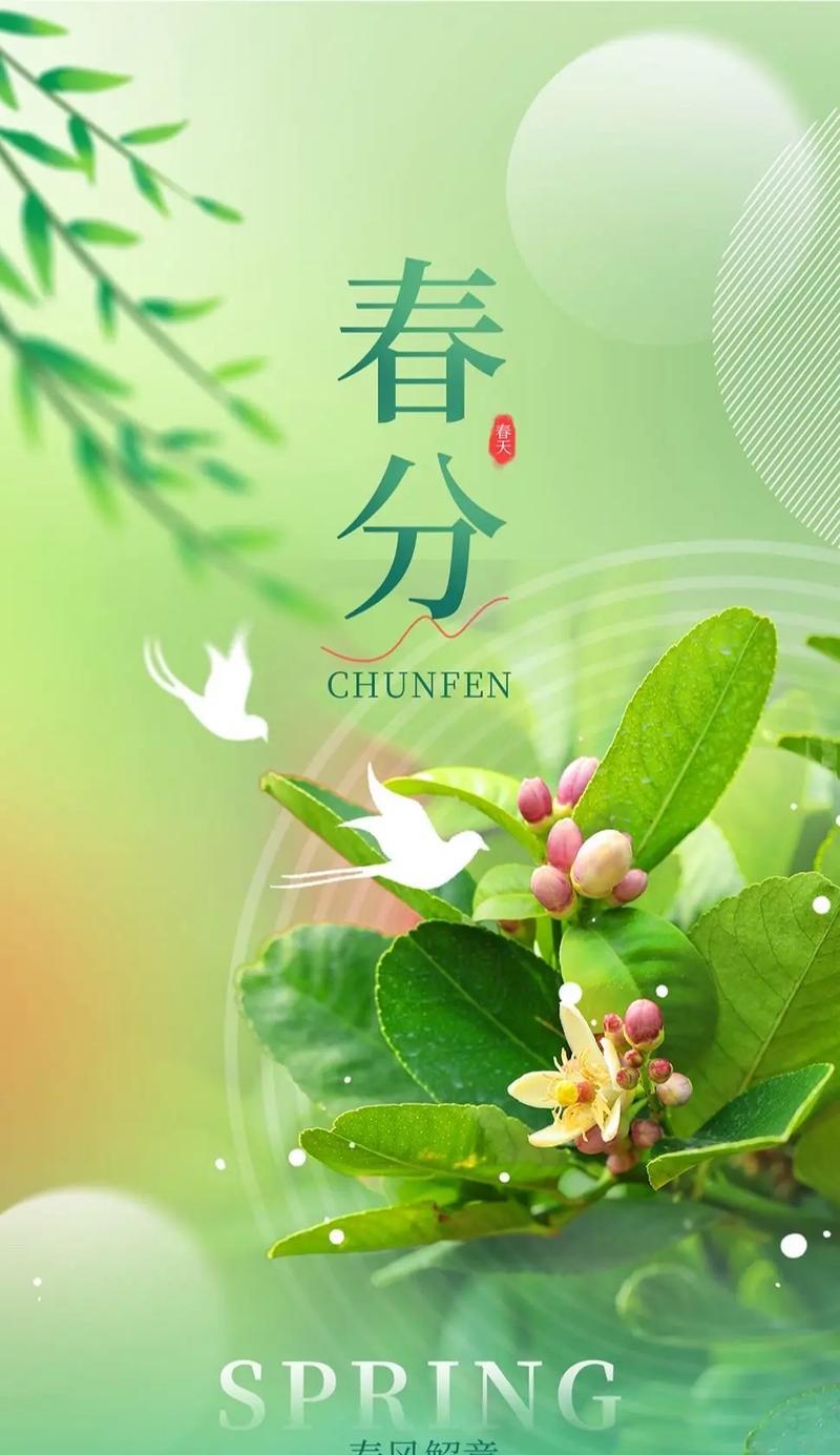 春分开怎么写（《春光乍泄，墨香书韵》）