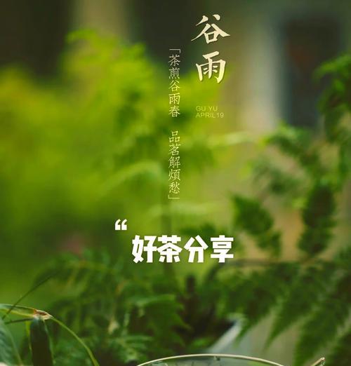 有关谷雨摘茶叶的过程语录的短句怎么写（《谷雨采茶行：碧绿生香入诗韵》）