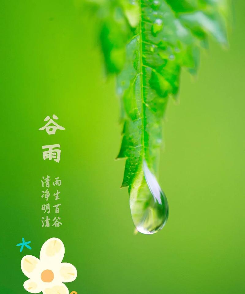 谷雨节气有哪些金句好句？（谷雨润物细无声，春意盎然诗意生）