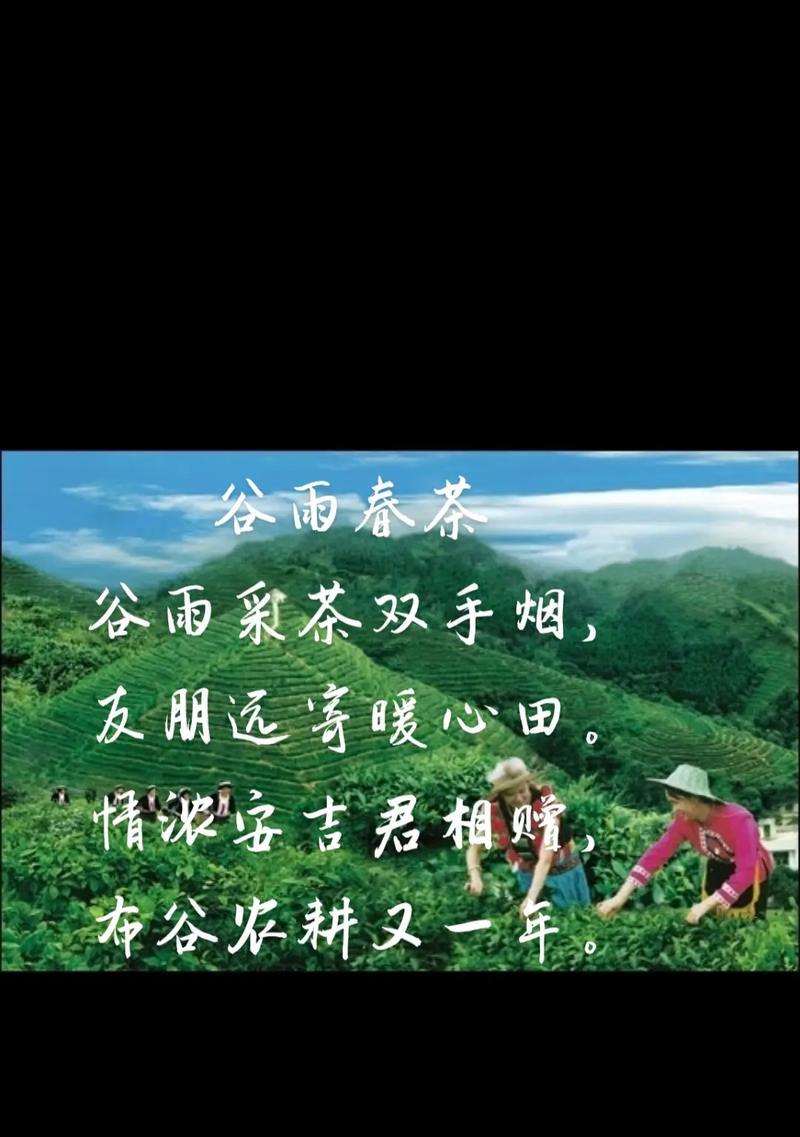 谷雨谷雨采茶对雨中的对雨是什么意思（《谷雨润心茶香浓：春华秋实的传统茶艺记》）