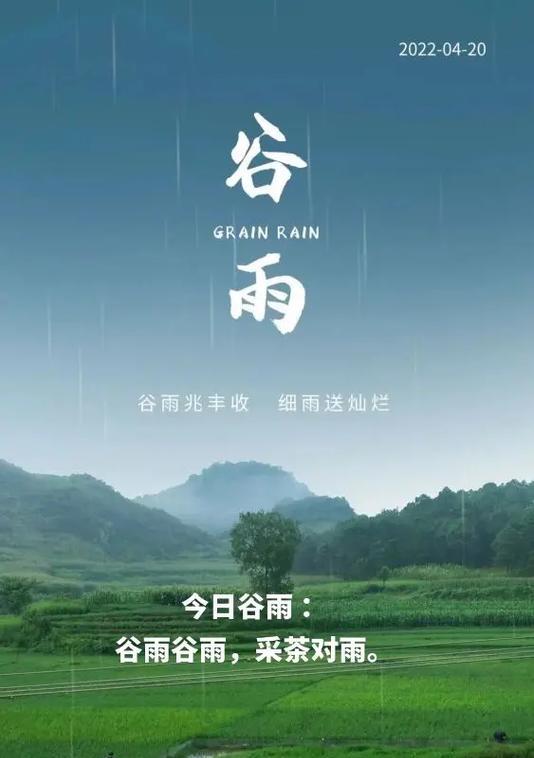 谷雨谷雨采茶对雨中的对雨是什么意思（《谷雨润心茶香浓：春华秋实的传统茶艺记》）