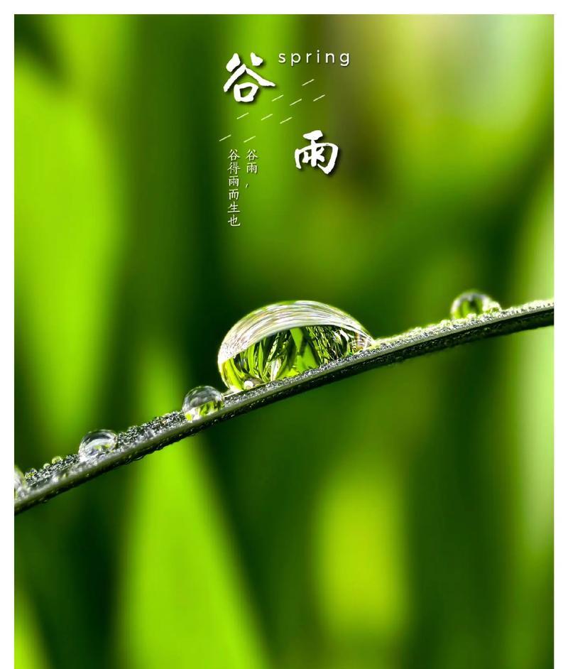 春天过去了谷雨时节有哪些金句好句？（《谷雨润物细无声，春归何处寻芳踪》）