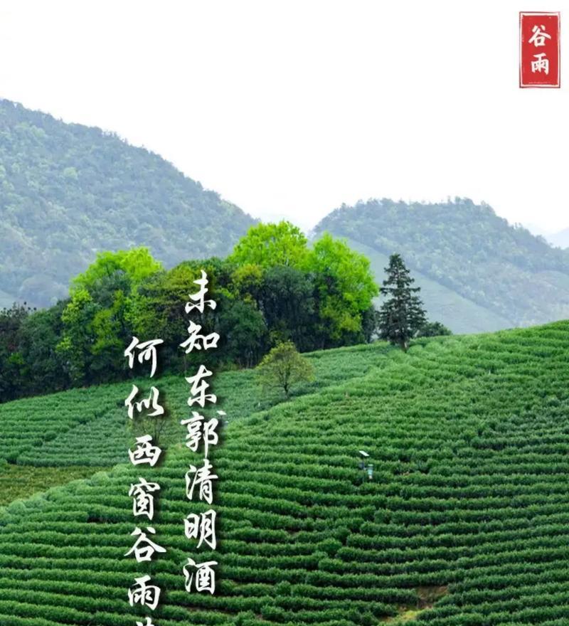 谷雨时节旅游必看风景有哪些？（《谷雨游记：春归何处，风景这边独好》）