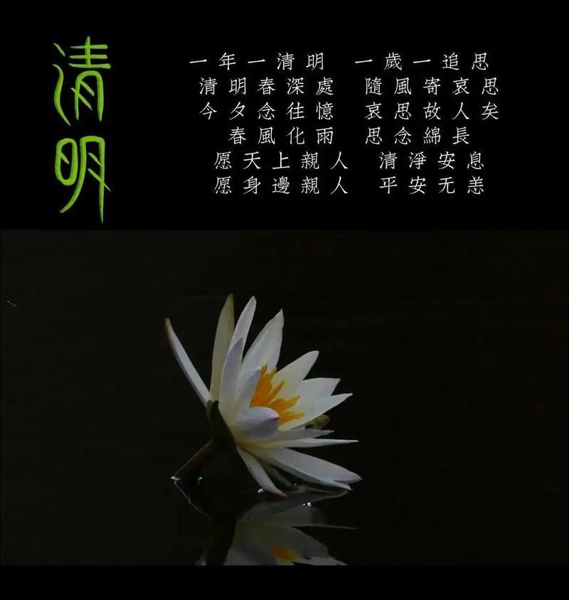 2024年清明节清明哀思怎么写?（《清明时节雨纷纷，一缕哀思寄离魂》）