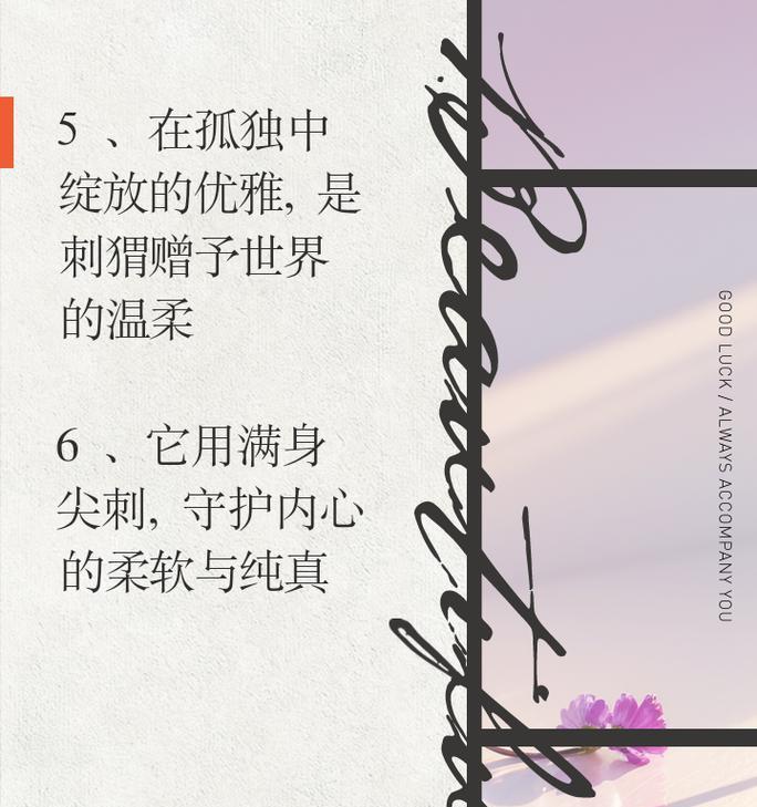 下雨了刺猬怎么避雨（《刺猬谷雨行》）