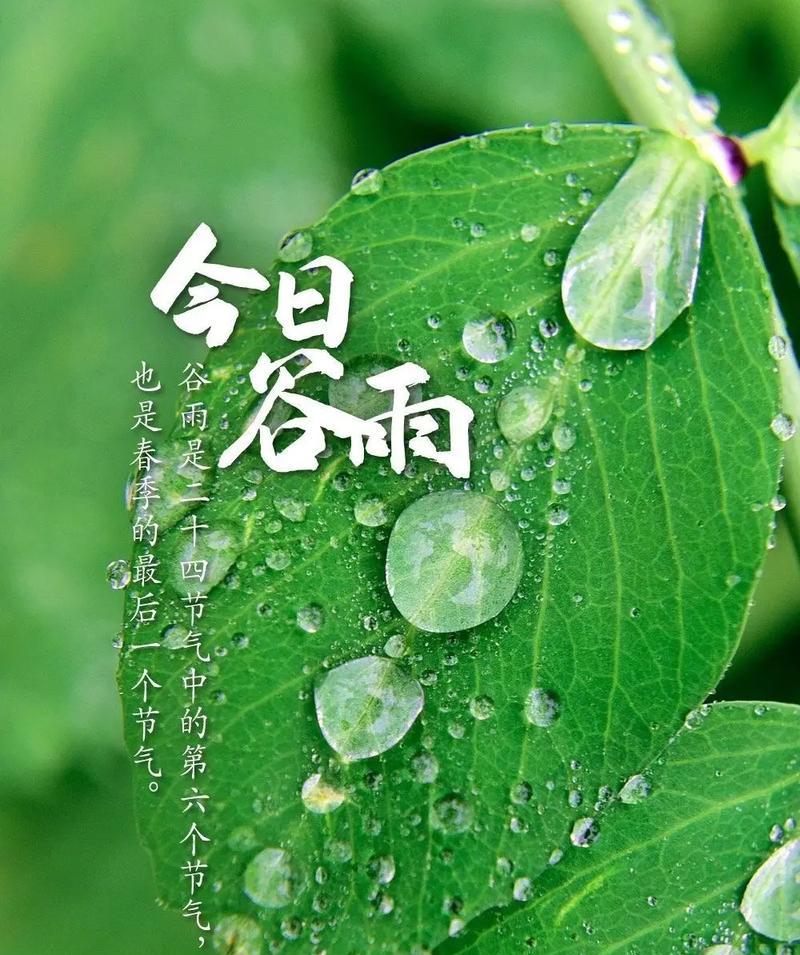 有关谷雨自然景色怎么写语录的好句子（《谷雨润色，诗心绘意》）