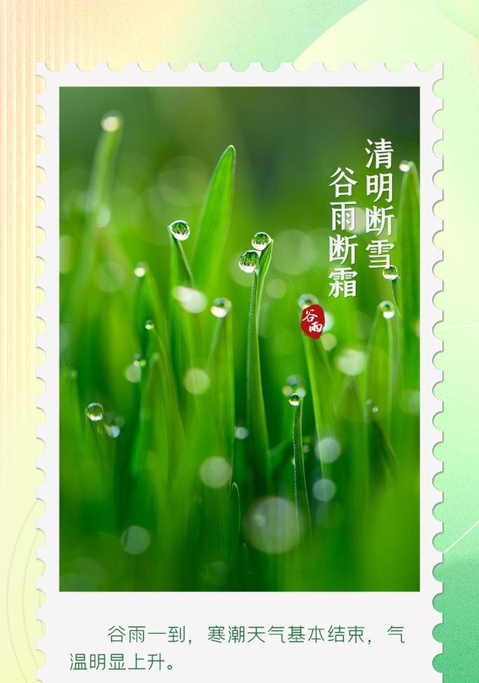 谷雨微语录好句有哪些？（《谷雨微语：润物细无声》）