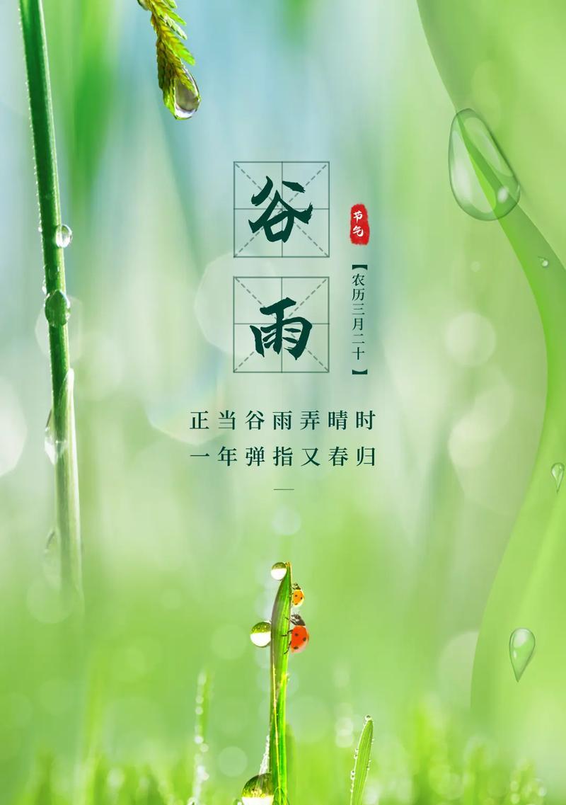 谷雨节气有哪些优美的句子？（《谷雨润物细无声》）