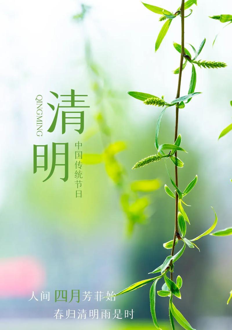 清明时节如何用短句好句拥抱春天？（《春归何处：清明时节的诗意拥抱》）