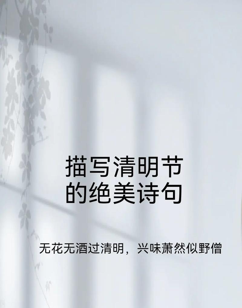 清明时间的诗句（《清明纪：烟雨江南，花间一壶酒》）