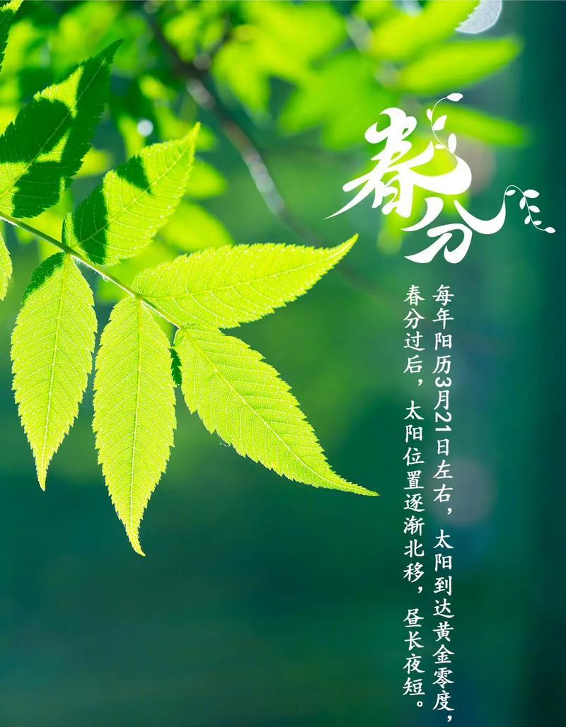 春分时节有哪些生活好句？（《春分赋景：古韵今风绘节气》）