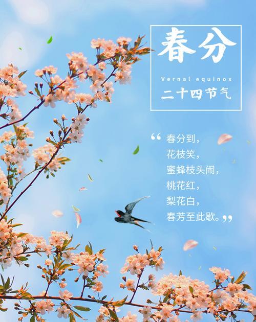 我见春分语录好句有哪些？（春分，岁月静好，诗意流长）