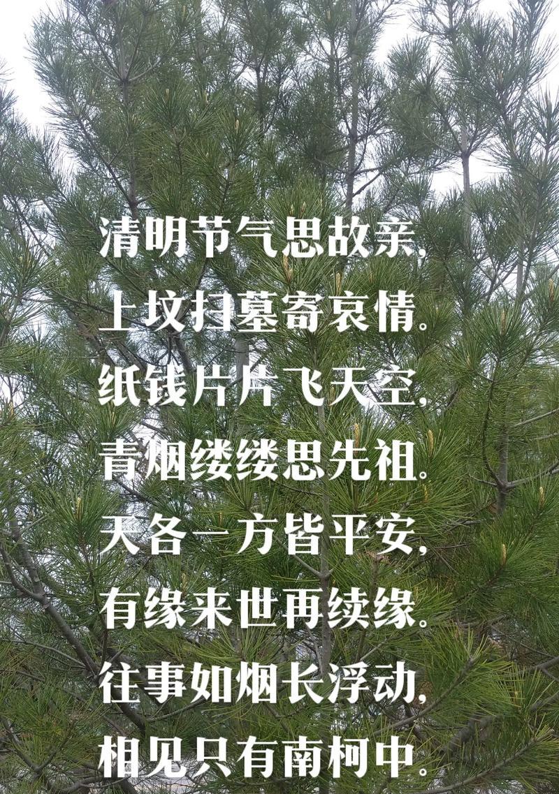 家国清明是什么意思（《清明怀古：青烟何处不相思》）