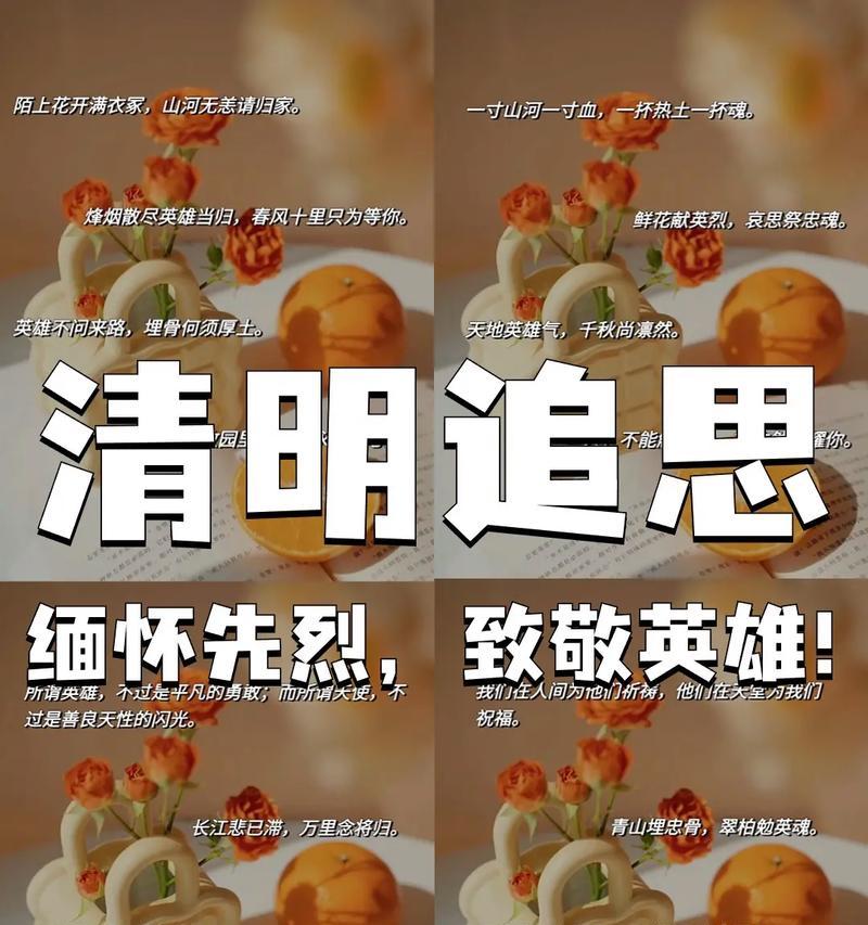清明节祭奠烈士时，哪些句子最能表达敬意和哀思？（清明时节雨纷纷）