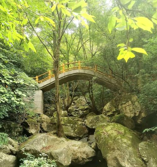 浙北大峡谷雨景美在哪里？（《浙北大峡谷雨韵：翠谷深处听雨声》）