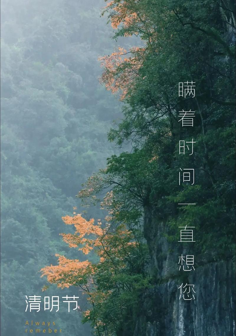 清明节如何表达对生命的思考？（《清明怀古：生命的轻吟与岁月的沉思》）
