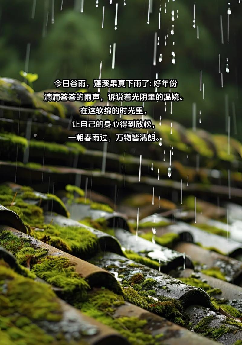 谷雨过后下雨怎么形容（谷雨润春心，诗意盎然时）