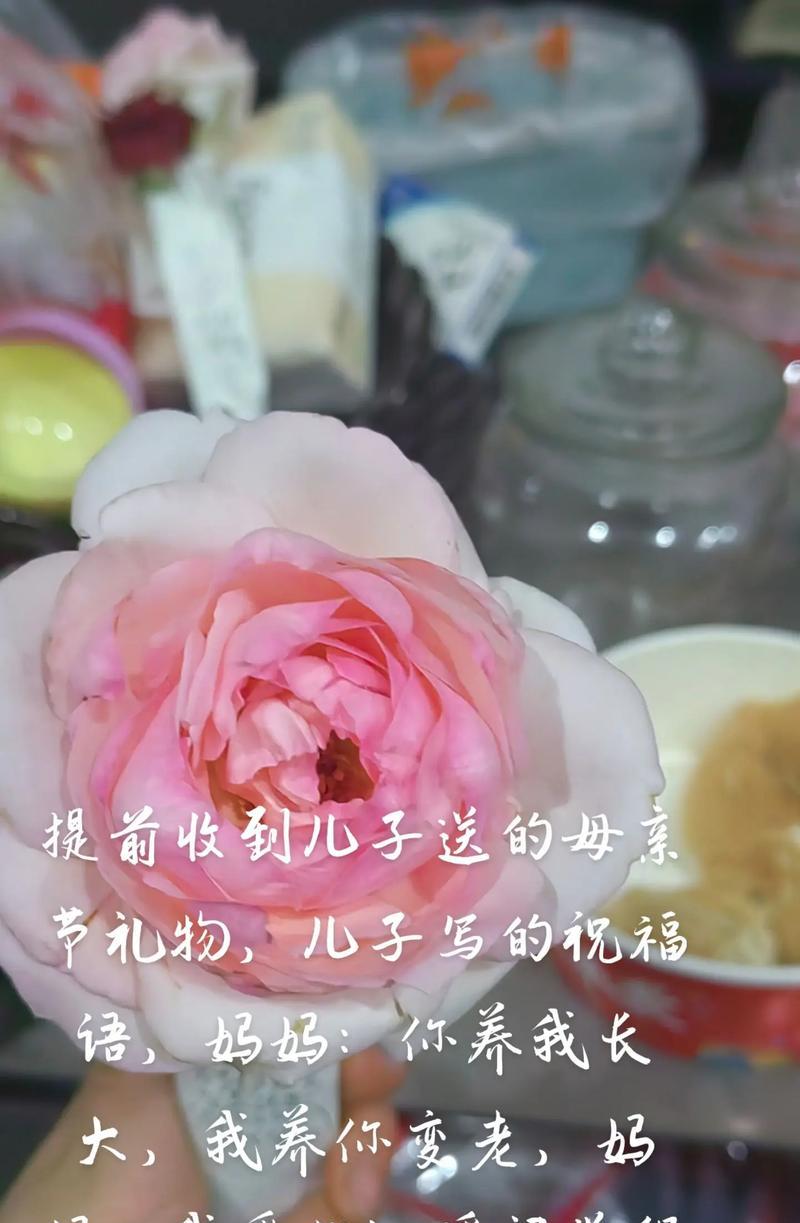 有关母亲节我养你句子的短句摘抄（《春晖情深：古风绘养儿心》）