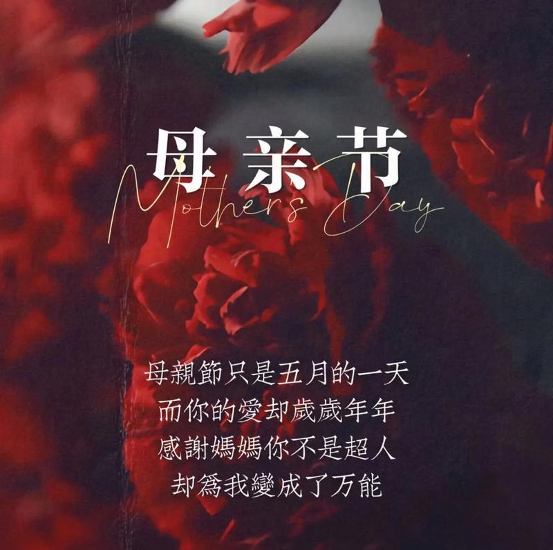 母亲节花束语录（《花语柔情：母恩如春晖》）