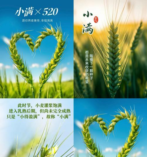 小满人生的寓意（小满人生：心如止水，岁月静好）