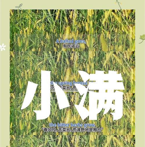 关于小满的文案开头怎么写（《小满家宴：岁月静好，墨香盈室》）