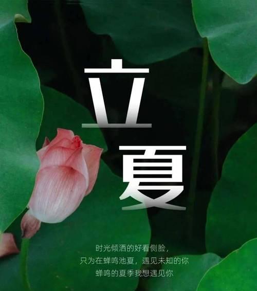 立夏初画祝福语好句有哪些？（《立夏初绘，祝福融春意》）
