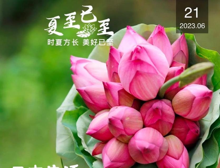 夏至早安的暖心句子好句有哪些？（《夏至晨光初照，诗意暖心》）