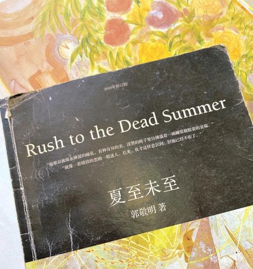 夏至未至这本书怎么样（《夏至未至》：时光深处的诗意流转）