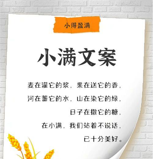 有关小满季节西瓜文案句子的短句怎么写（《小满时节瓜田诗语》）