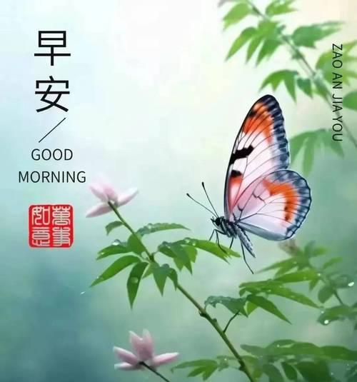 帆船对小朋友的寓意（《童帆启航，诗意端午》）