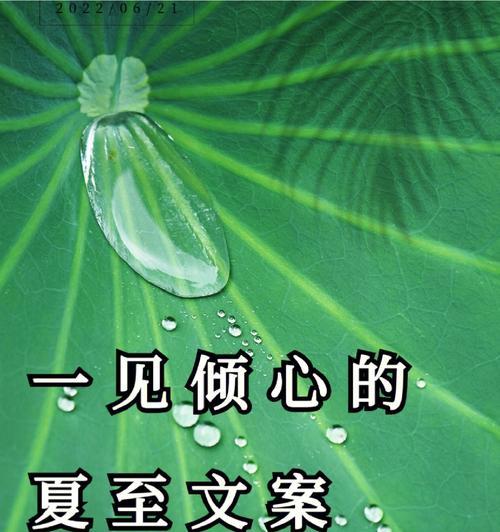 夏至未至插曲文案句子好句有哪些？（《夏至未至，情愫如织》）