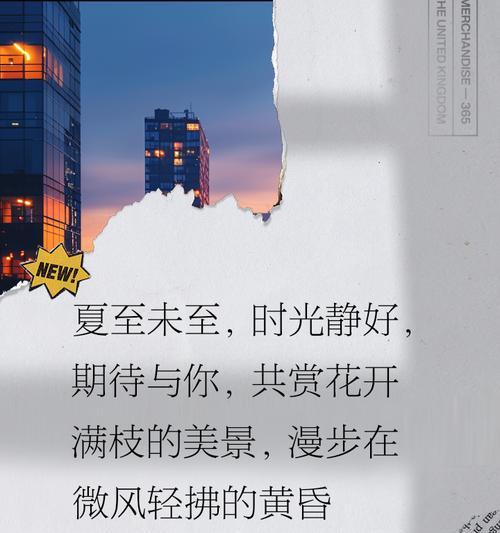 夏至未至插曲文案句子好句有哪些？（《夏至未至，情愫如织》）