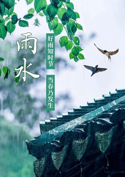 夏至的雨天怎么形容（《夏雨润无声，至柔乃水德》）