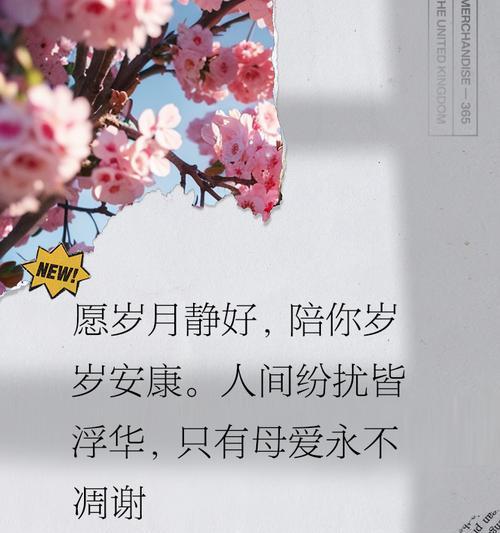 关于母亲节的文案怎么写（《母亲节：花影下的琴声与诗行》）