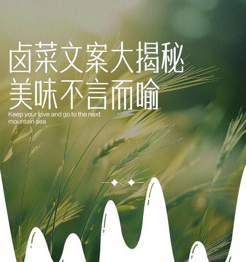 有关母亲节卤菜文案短句的句子怎么写（《慈恩如酿，卤香浓情——母亲节致敬》）