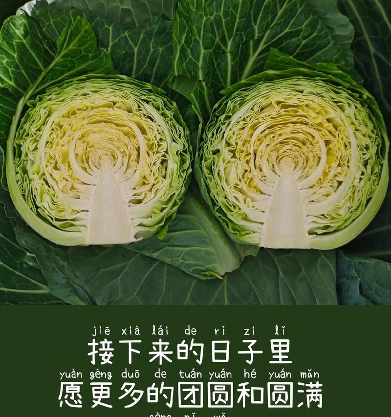 母亲节蔬菜花束（《翠绿佳节：母亲节与蔬菜之雅颂》）