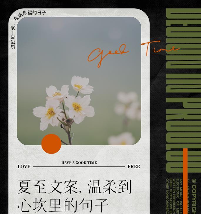 有关夏至转发一下的句子的句子怎么写（《夏至风华：翠竹青青话日长》）