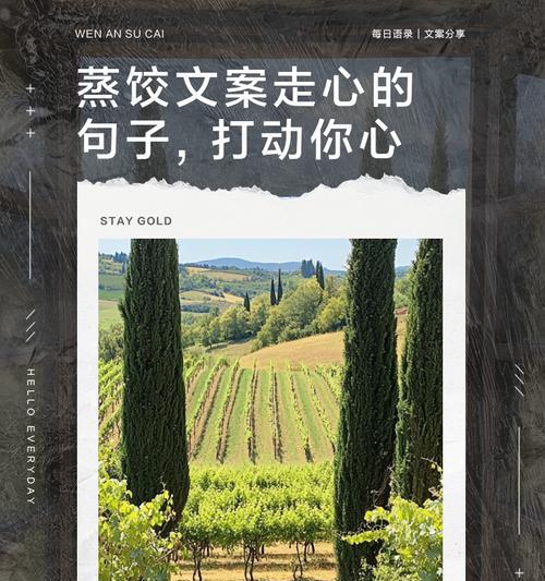 有关感恩母亲节蒸饺的句子的短句怎么写（《感恩母恩，饺子情深》）
