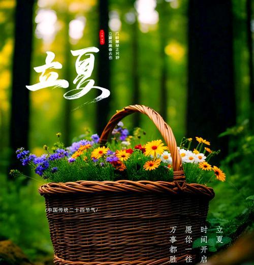 立夏下午的句子发朋友圈好句？（《立夏之约：翠绿新夏，静待花开》）