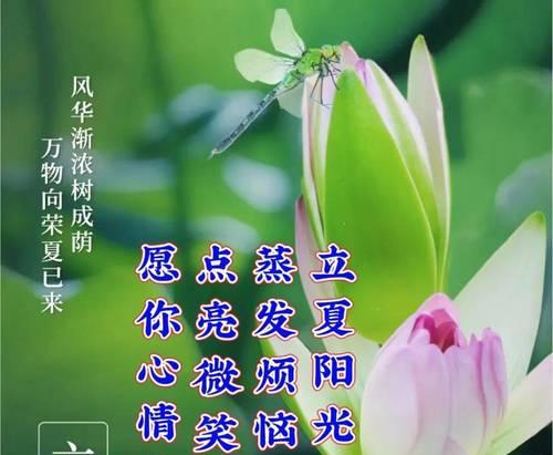 立夏祝福语粤语好句有哪些？（立夏艳阳，粤语情深，墨染诗行）