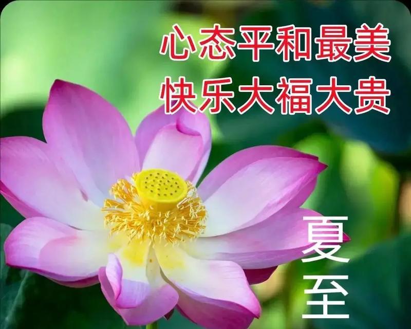 夏至快乐祝福语有哪些？（《夏至之悦：古韵今情的祝福篇章》）