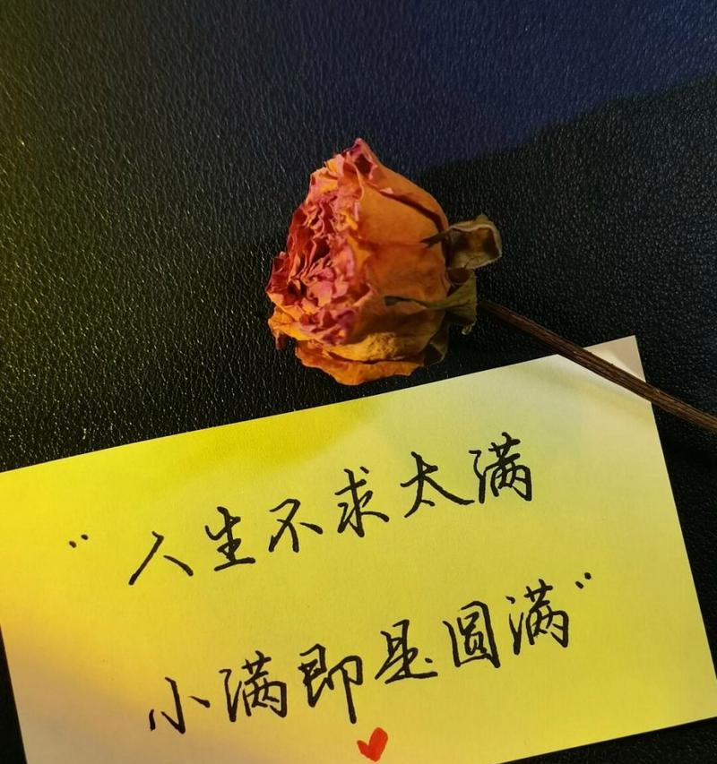 关于小满的文案开头怎么写（《小满润心田，古韵话芳华》）