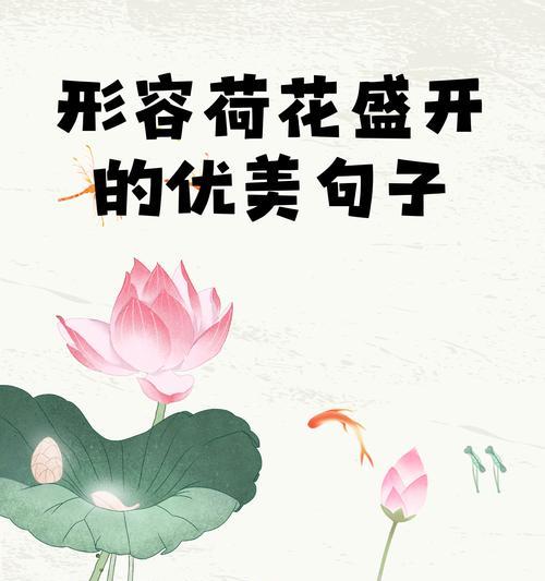有关形容夏至文案荷花的句子的句子有哪些（《夏至荷韵：翠盖风来，莲香清古》）